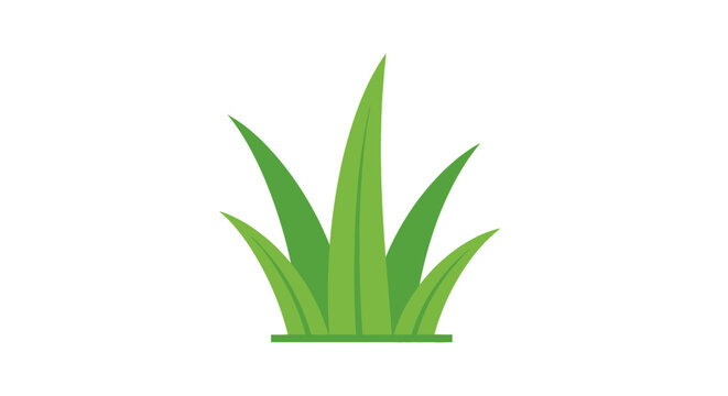 Green plant with long leaves growing.