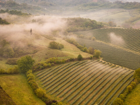 Aerial view of the Valdarno valley with rolling hills, vineyards, and morning mist over the rural landscape in Treggiaia, Tuscany, Italy.