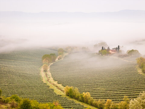 Aerial view of the Valdarno valley with a farmhouse and vineyards shrouded in morning mist Treggiaia, Tuscany, Italy.
