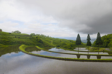 扇棚田の水田（熊本県産山村） © takafumi99999