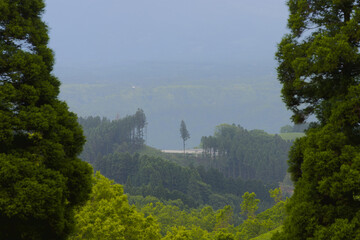 扇棚田の水田（熊本県産山村） © takafumi99999