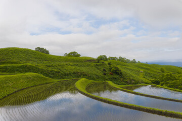 扇棚田の水田（熊本県産山村） © takafumi99999