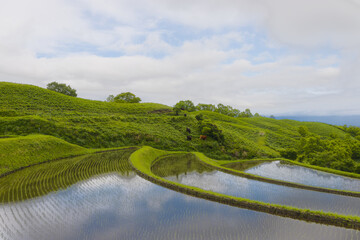 扇棚田の水田（熊本県産山村） © takafumi99999