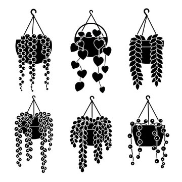Hanging Potted Plants Silhouette Collection: String of Pearls, Hearts, and Vines