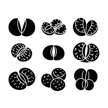 Lithops Plant Icons: Diverse Succulent Varieties in Black and White Silhouette