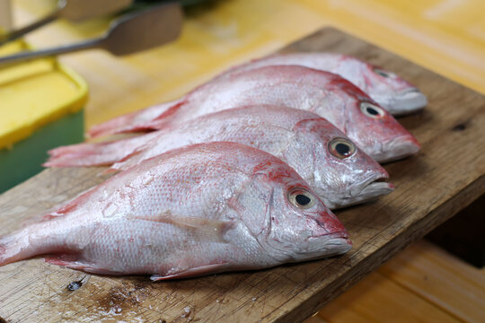 fresh fish on the market