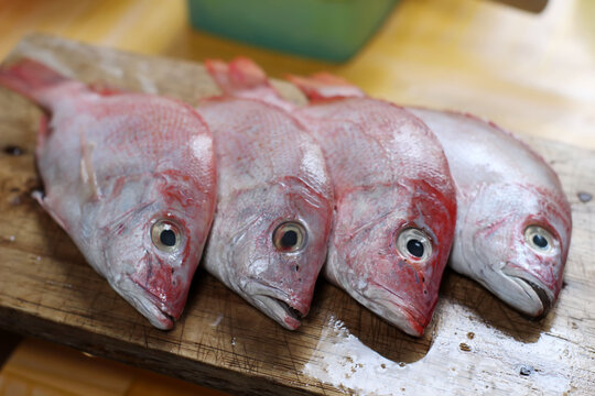fresh fish on a wooden board