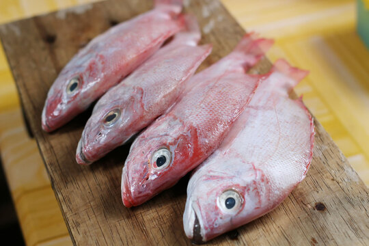 fresh fish on a wooden board