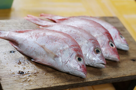 fresh fish on a wooden board