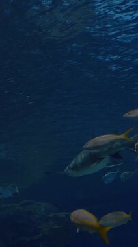 Colorful reef fish swirling peacefully, vibrant tropical species schooling over coral, sunlight beams refracting through water, diverse fins and tails, lively aquarium tableau with educational vibe