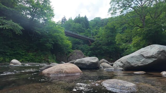 250822秋山郷猿飛橋