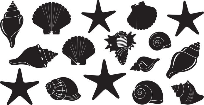 Sea shell sink stencil stamp set. Ocean exotic underwater seashell conch aquatic mollusk, sea spiral snail marine starfish seal brand collection. Tropical beach shells aquatic design illustration