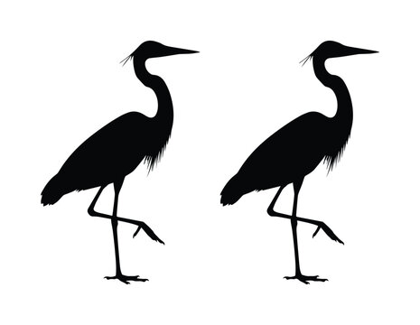 Black heron silhouette vector set, standing great blue heron bird icons, elegant crane and egret wildlife shapes for logo design and nature branding