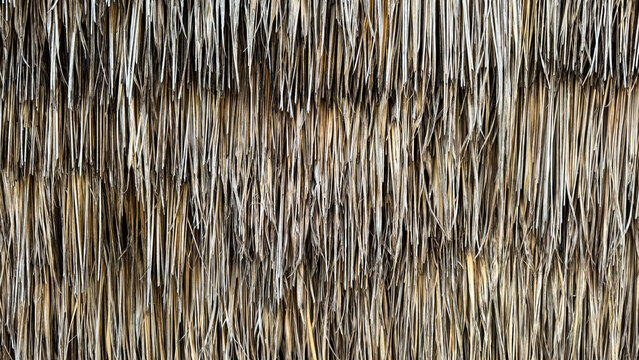 Rustic old thatched roof, detail.