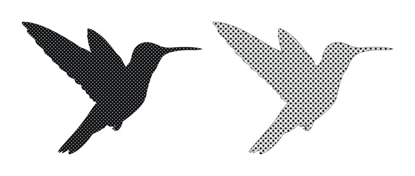 Hummingbird silhouette vector set, black bird icons with halftone pattern, flying colibri graphic elements for nature logo design and branding