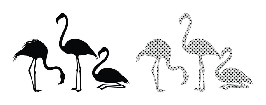 Flamingo silhouette vector set, tropical bird icons in solid black and halftone patterns, exotic wildlife animal graphics for summer design