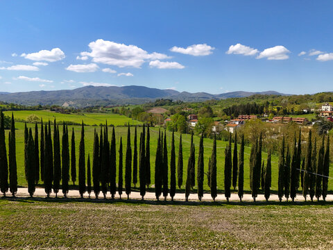 Aerial view of the Balze landscape with a row of cypress trees along a country road and rolling green hills under a blue sky Reggello, Tuscany, Italy.