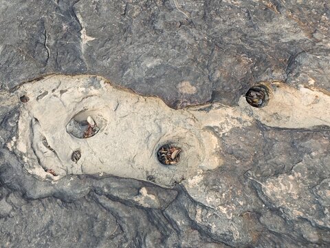 Natural pothole eroded in a waterfall rock surface by long-term water flow