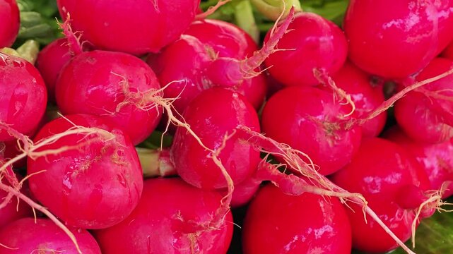 Fresh radish in the market.