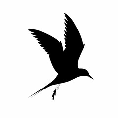 Fototapeta premium Vector silhouette of a seagull defecating in flight. Isolated on a white background.