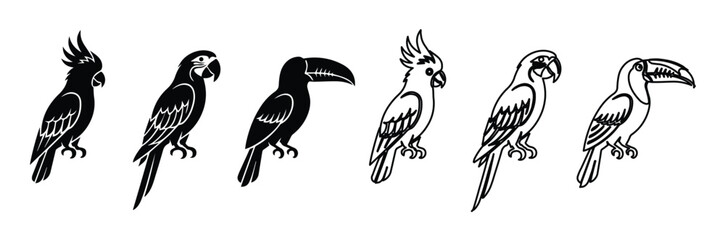 Tropical bird vector icons set, black and white parrot cockatoo and toucan silhouettes, exotic jungle bird line art illustrations © Asma