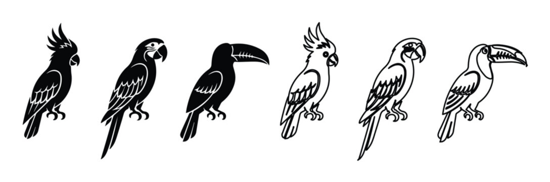 Tropical bird vector icons set, black and white parrot cockatoo and toucan silhouettes, exotic jungle bird line art illustrations
