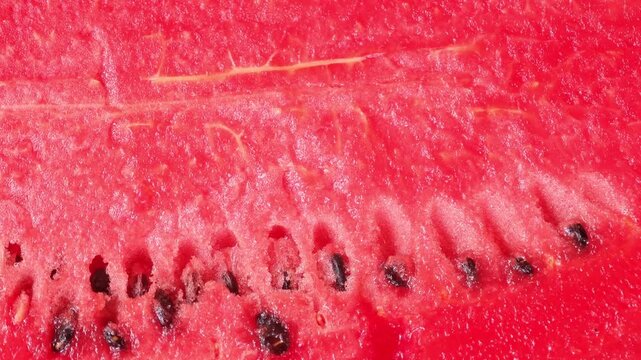 Fresh watermelon cut in half.A refreshing fruit.