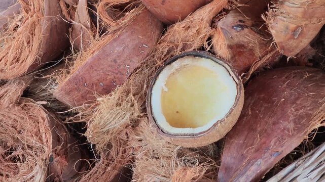 Pile Coconut husks are used to make fertilizer.