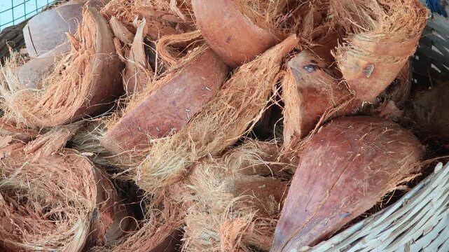 Pile Coconut husks are used to make fertilizer.
