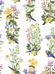 seamless pattern with field flowers and birds, vector drawing wild plants and blue tits at white background, , hand drawn botanical illustration © cat_arch_angel