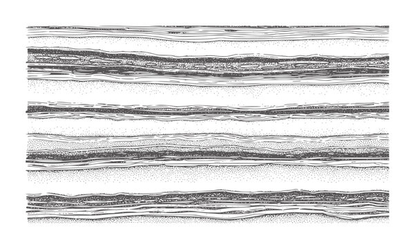 Cross section of stratified rock layers with varying textures geology strata