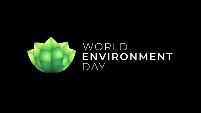 World Environment Day Title with Leaf Concept on transparent background