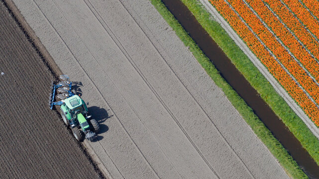 Aerial view of a green tractor plowing a field next to a canal and vibrant orange flower rows in Heiloo, North Holland, Netherlands.