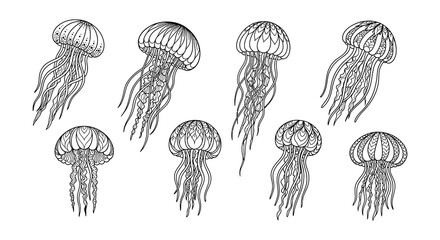 Detailed line art illustration of several jellyfish in a symmetrical arrangement © Begum