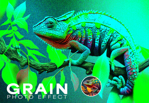 Grain Photo Effect