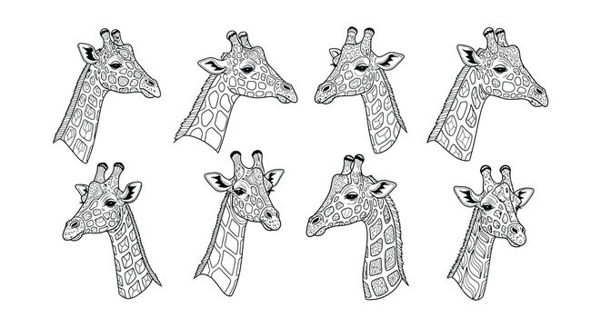 Nine giraffe head illustrations arranged in a grid pattern