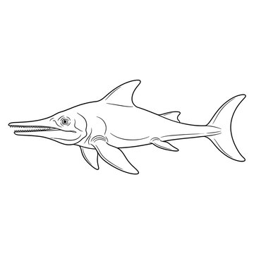 Black and white line drawing of an Ichthyosaurus marine reptile.