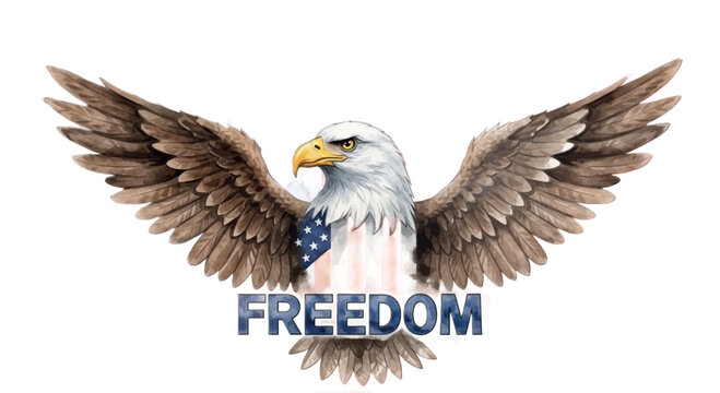 American eagle, freedom symbol, patriotic vector, bald eagle icon