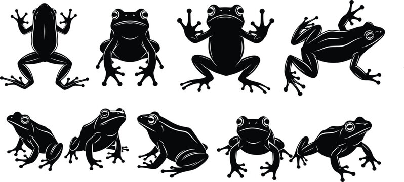 Frog silhouettes vector set, black amphibian icons collection, various poses detailed shapes isolated on white background for wildlife, nature design use