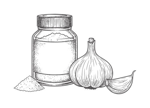 Hand drawn garlic bulb powder and jar white clove