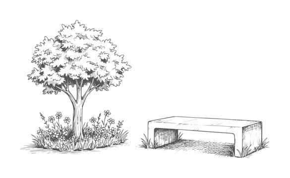 Of a tree with flowers and a bench in a park nature