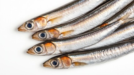 Fototapeta premium Fresh Anchovies Arranged Diagonally