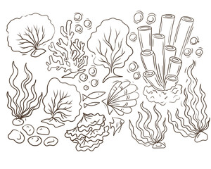 Watercolor coral reef set featuring vibrant sea sponges, underwater seaweed, ocean stones, and tropical marine life. Hand-painted aquatic botanical elements and colorful algae isolated on white © Paint_art