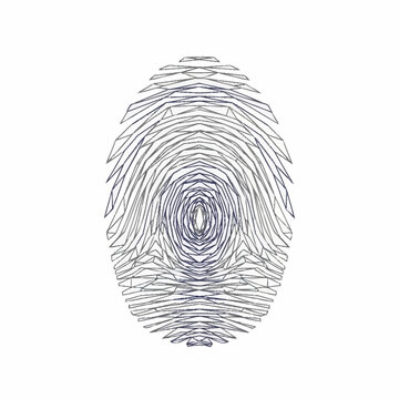 Detailed fingerprint pattern illustration on white background.