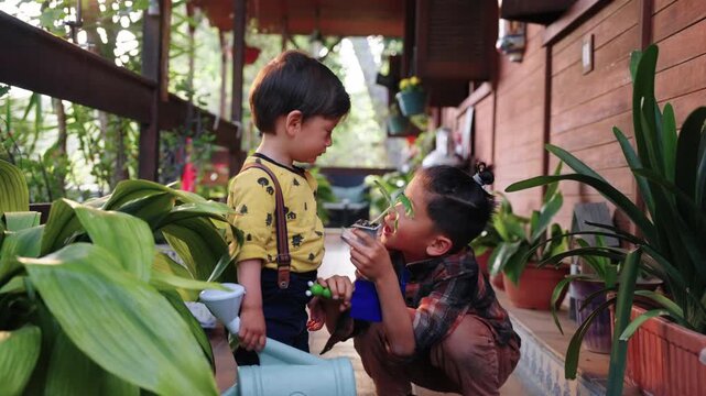 Children interacting in a home garden, older child showing a young plant to a toddler while learning to care for plants and develop eco friendly habits in a natural lifestyle environment