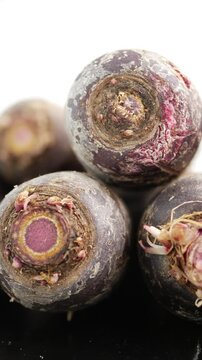 Roots of black radishes on display at local market stand