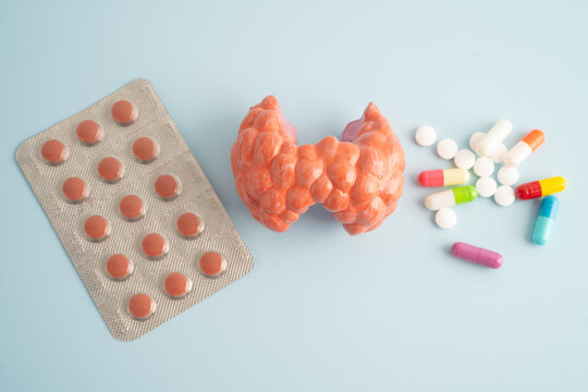 Thyroid model with pill drug treatment, Hyperthyroidism, Overactive or Lymphoma.