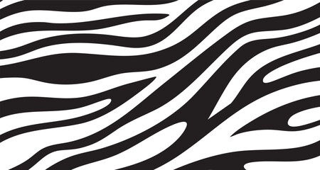 Fototapeta premium Black and white zebra stripes pattern with animal print, wildlife