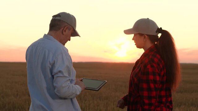 woman and man farmer pair working tablet across wheat field., fieldside agreement under a glowing sky, farmer man guides woman using tablet through tall wheat field., farm business deal in evening