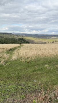 Bannau Brycheiniog near Neath, South Wales, U.K.